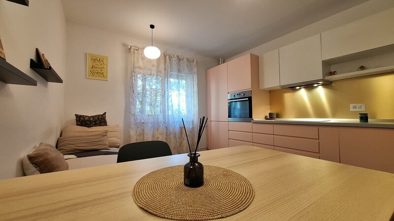 Baba Novac- Mihai Bravu