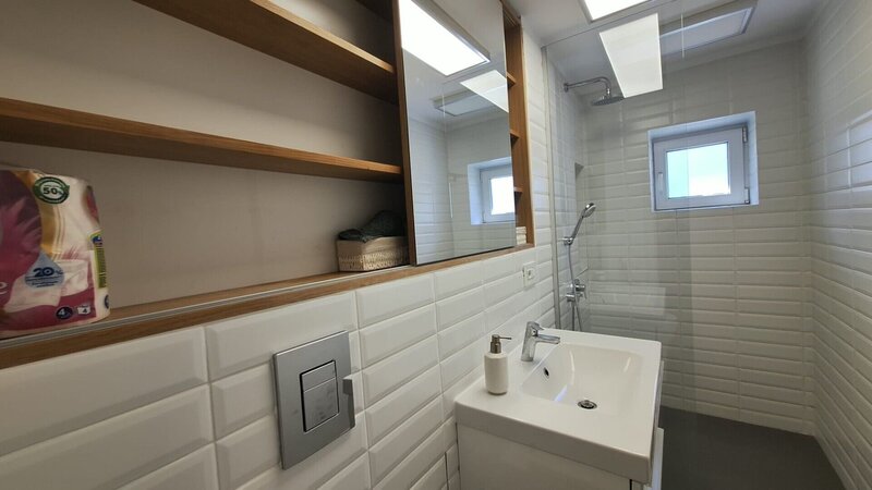 Baba Novac- Mihai Bravu