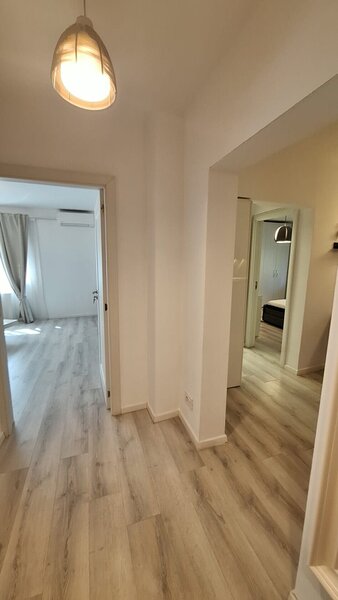 Baba Novac- Mihai Bravu